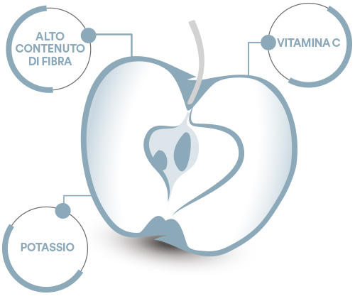 OrtoQui - Mela Gala composizione
