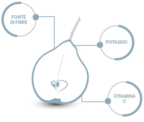 Pera Martin Sec - composizione